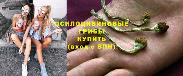 MESCALINE Нязепетровск