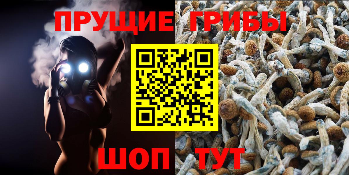 Галлюциногенные грибы Psilocybine cubensis  Казань 