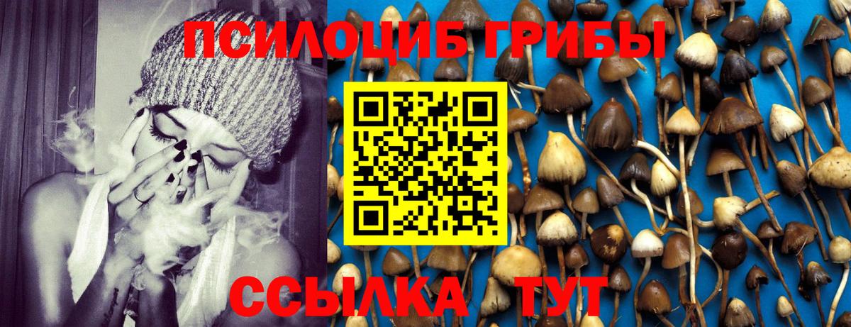 Псилоцибиновые грибы Psilocybe  Вход с VPN  Казань 