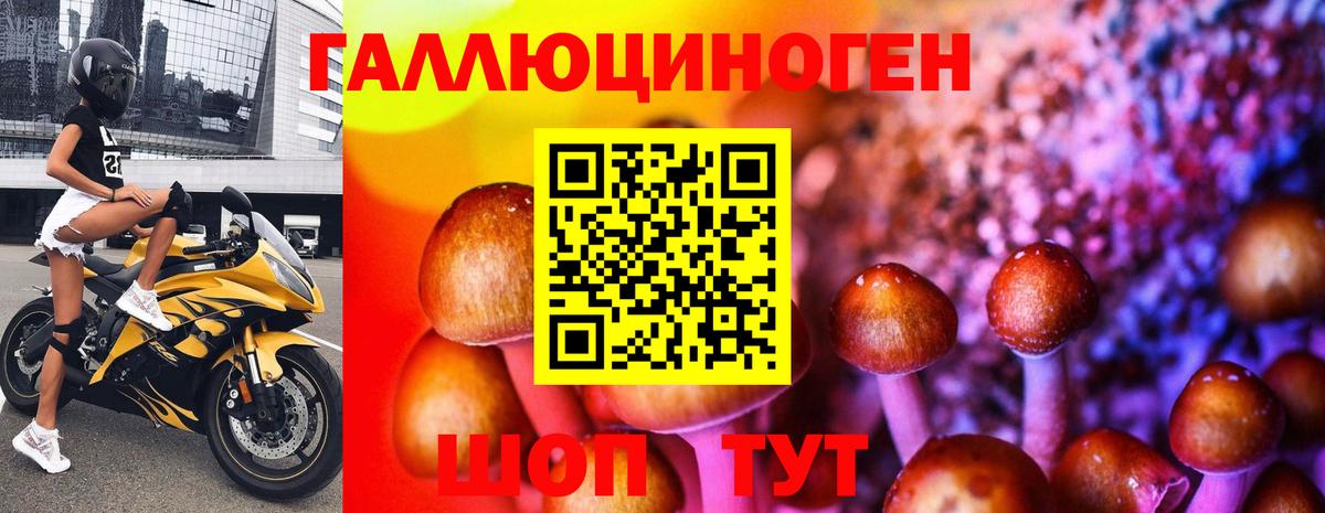 Галлюциногенные грибы мицелий Казань